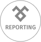 Reporting